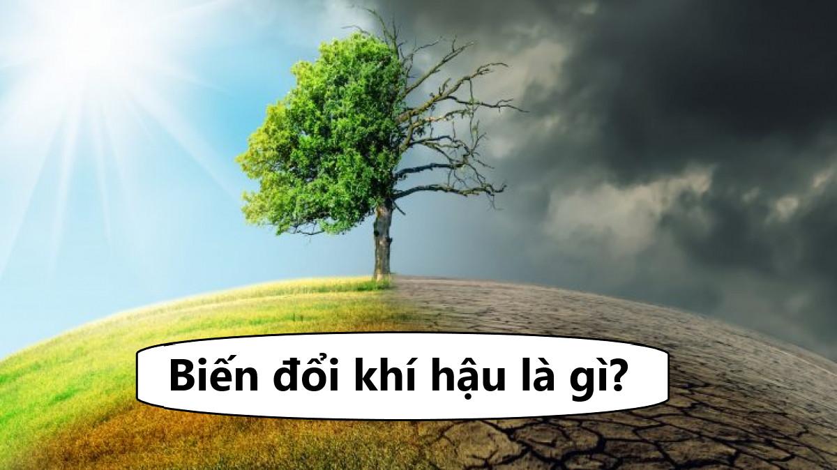 Biến đổi khí hậu là gì? Nguyên nhân gây ra biến đổi khí hậu