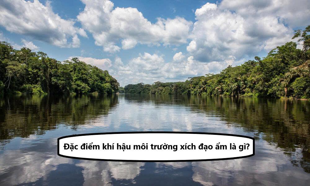 Môi trường xích đạo ẩm là gì? Đặc điểm khí hậu môi trường xích đạo ẩm là gì?