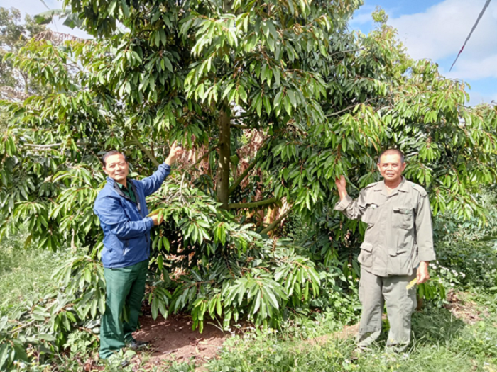 doi song nong nghiep ba con vung ea nam