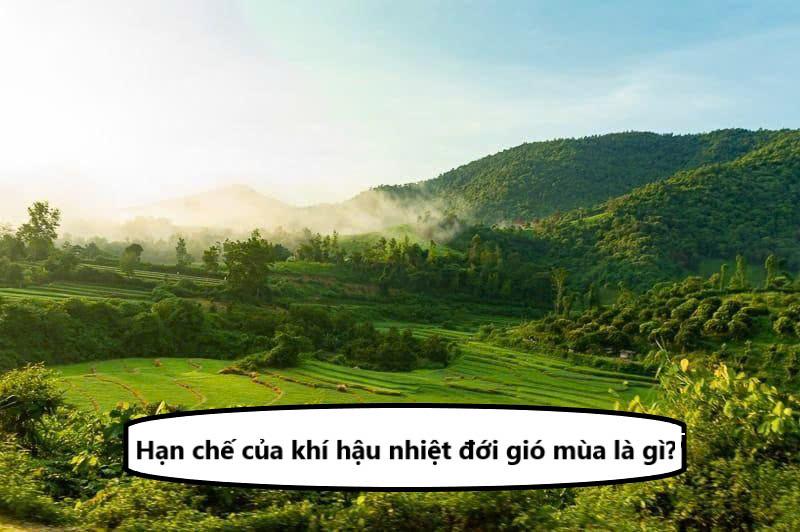 Hạn chế của khí hậu nhiệt đới gió mùa là gì? Nó có tác động gì đến đời sống?