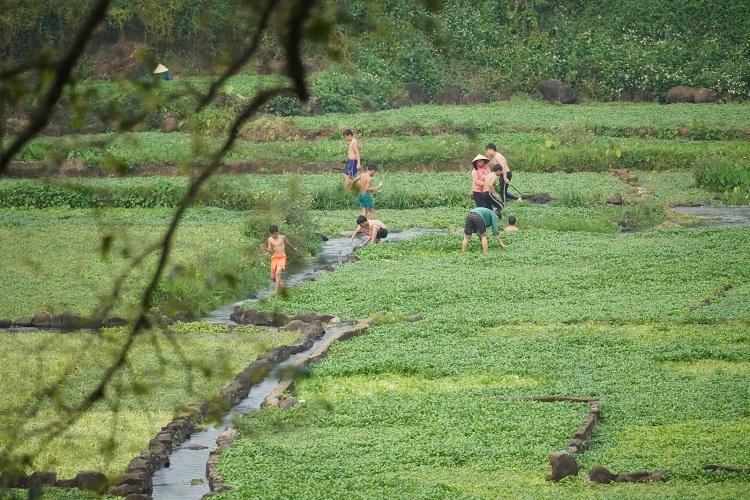 he thong gieng co ngan nam tai gio an