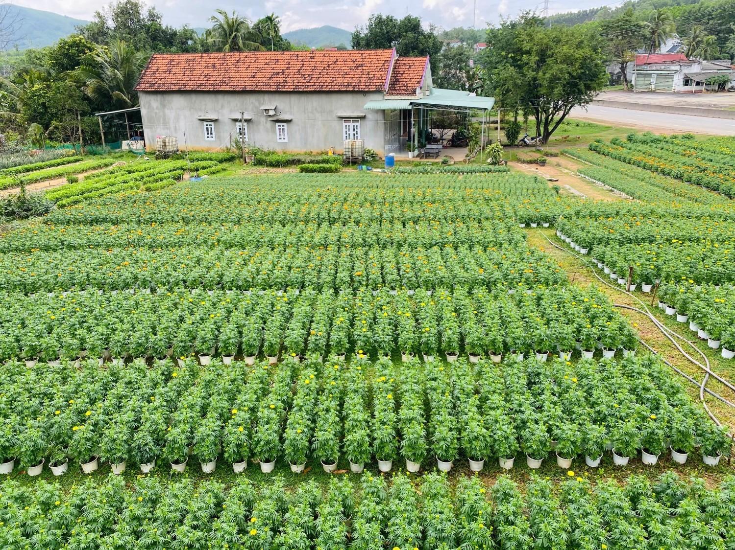 hoat dong san xuat nguoi dan xa my trinh