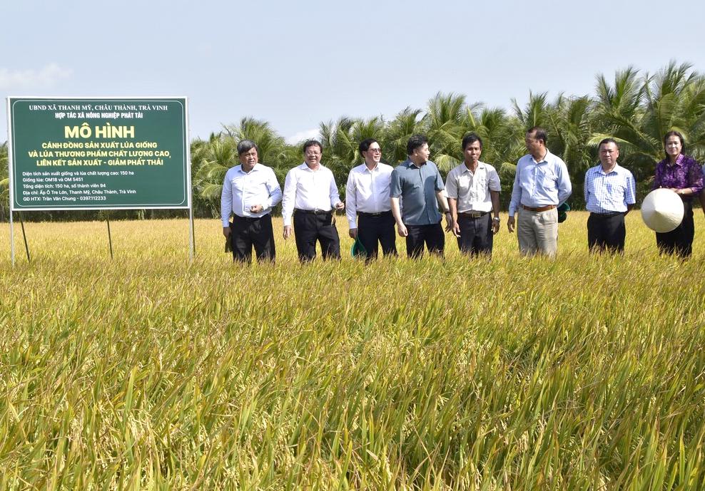 hoat dong san xuat nong nghiep tai xa an co