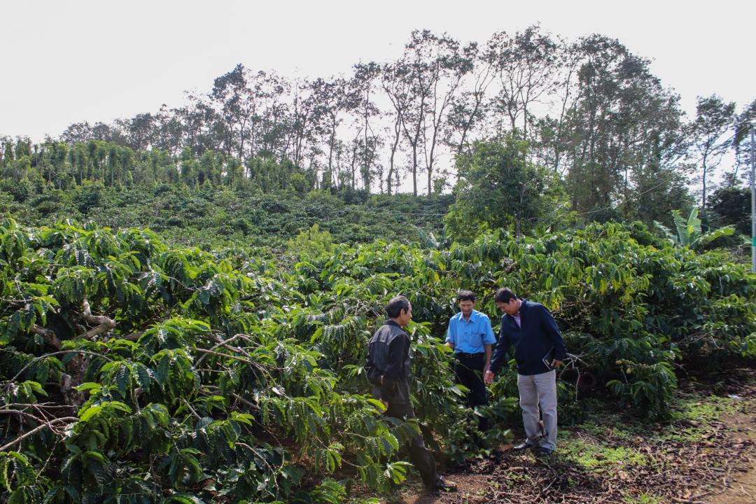 hoat dong san xuat nong nghiep xa dlie ya