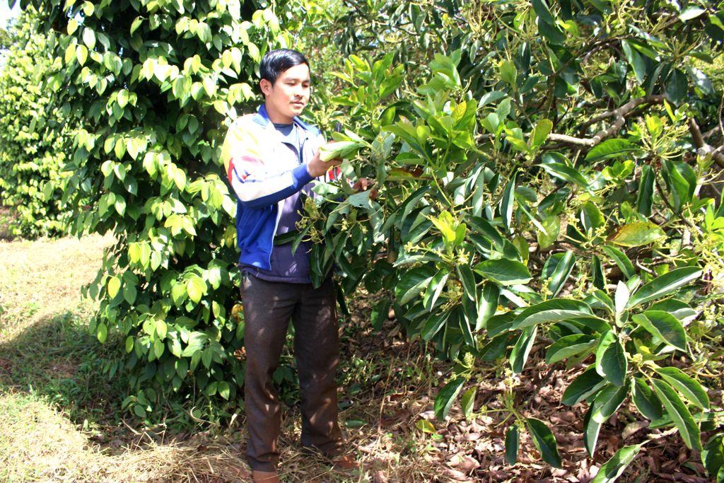 hoat dong san xuat nuoi trong cua nguoi dan