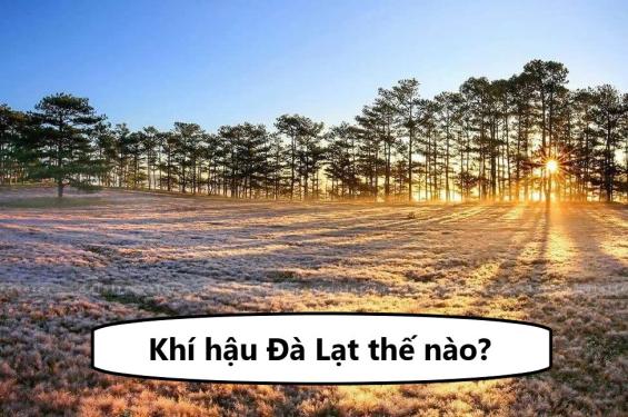 Khí hậu Đà Lạt thế nào? Đặc điểm tự nhiên và con người tại đây thế nào?