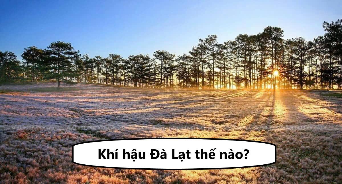 Khí hậu Đà Lạt thế nào? Đặc điểm tự nhiên và con người tại đây thế nào?