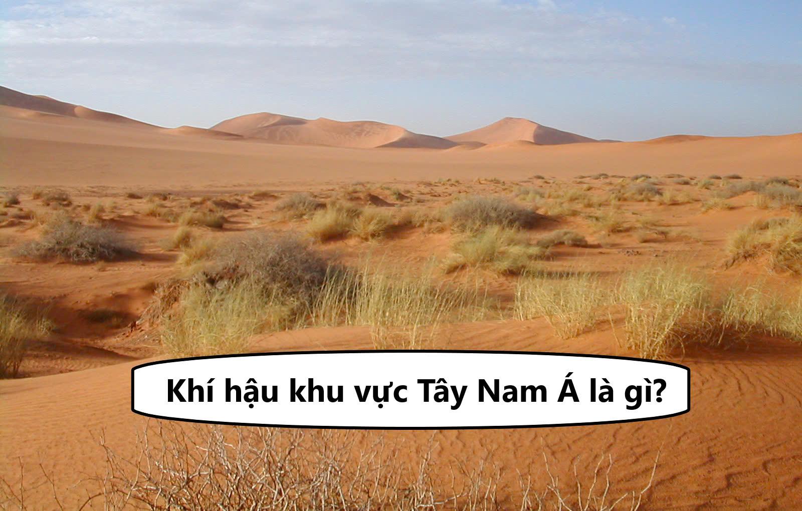 Khí hậu chủ yếu ở khu vực Tây Nam Á là gì?