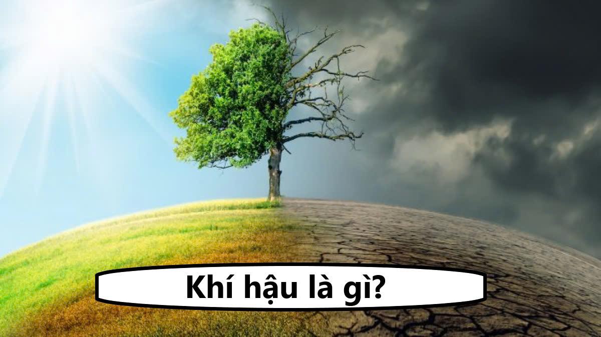 Khí hậu là gì? Phân loại các đới khí hậu