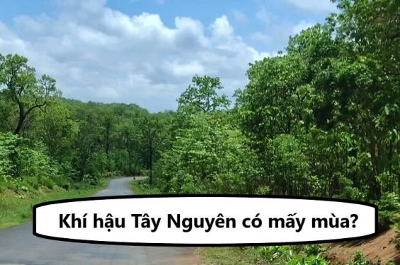 Khí hậu Tây Nguyên có mấy mùa? Đặc điểm từng khu vực thế nào?