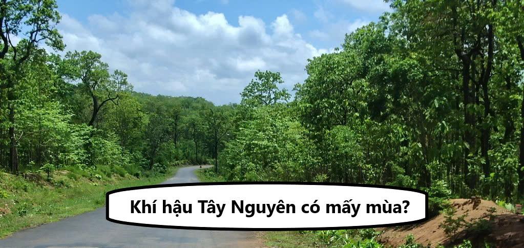 Khí hậu Tây Nguyên có mấy mùa? Đặc điểm từng khu vực thế nào?