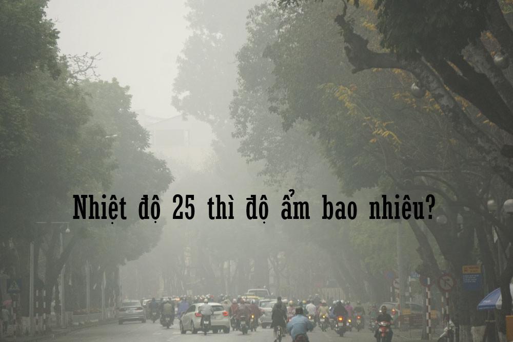 Nhiệt độ 25 thì độ ẩm bao nhiêu? Độ ẩm lý tưởng là gì?