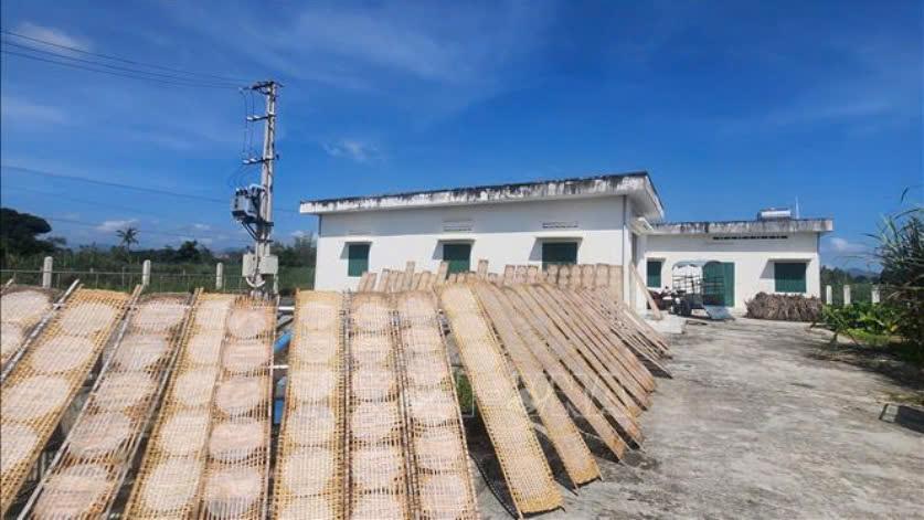 nhip song mua mua tai xa my tai