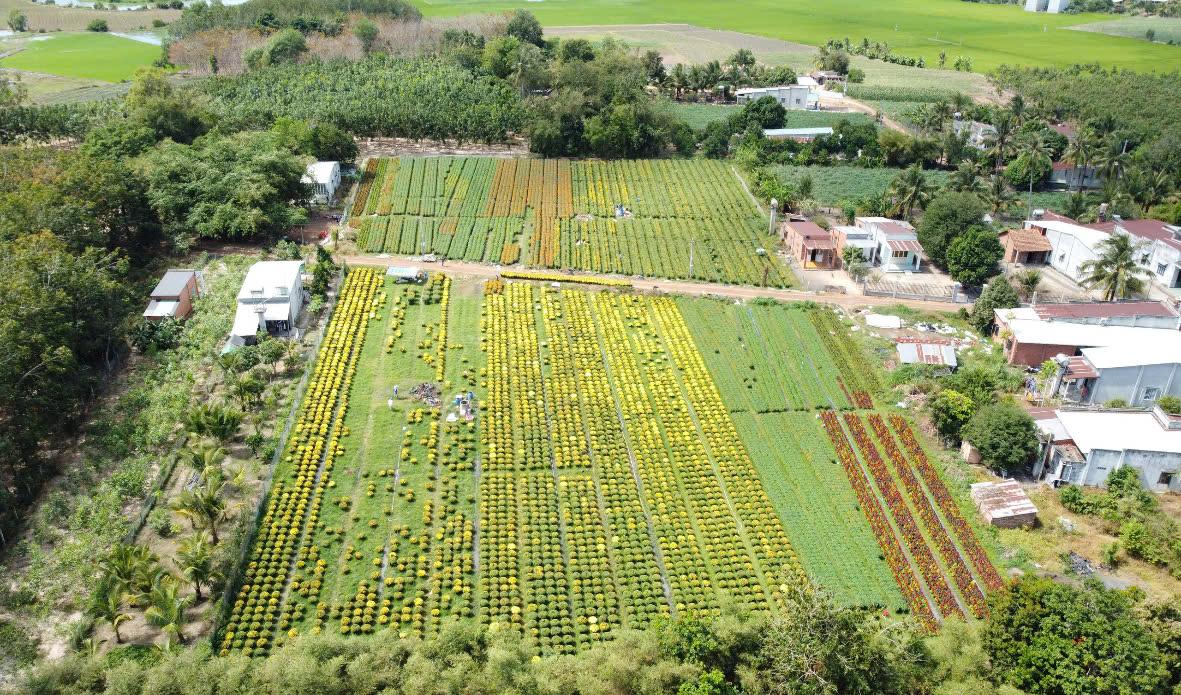 sac xanh yen binh tai xa an cơ