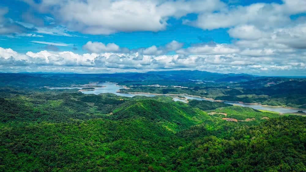 ve dep xanh tai xa dak drong