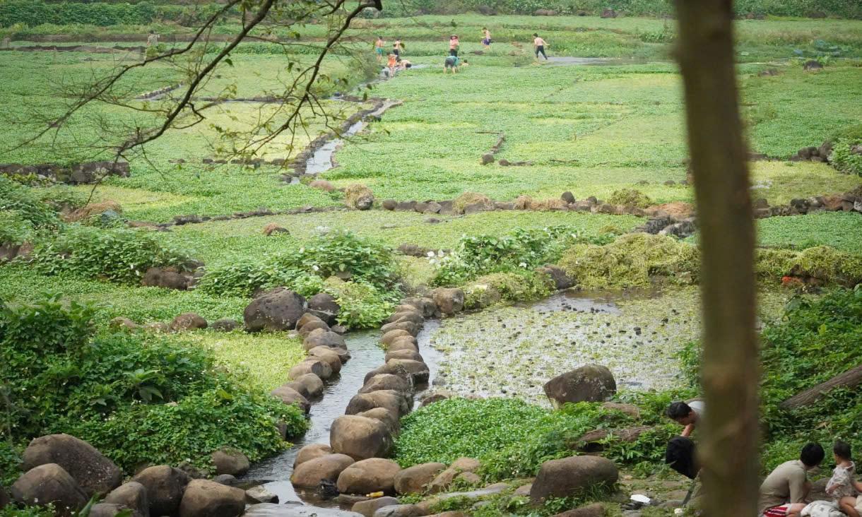 ve dep yen binh tai gio an