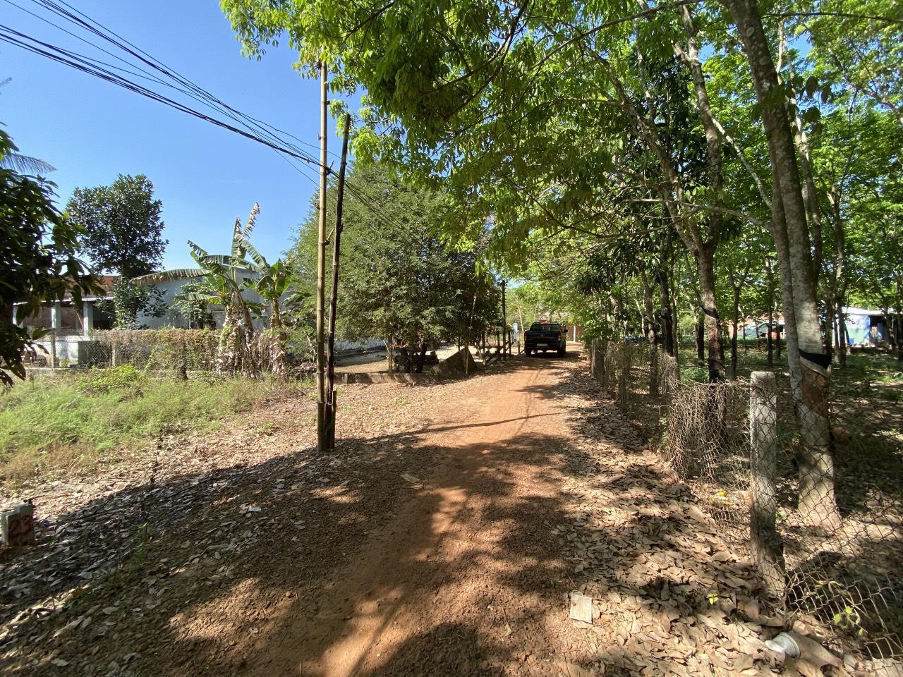 ve dep yen binh tai xa thanh binh