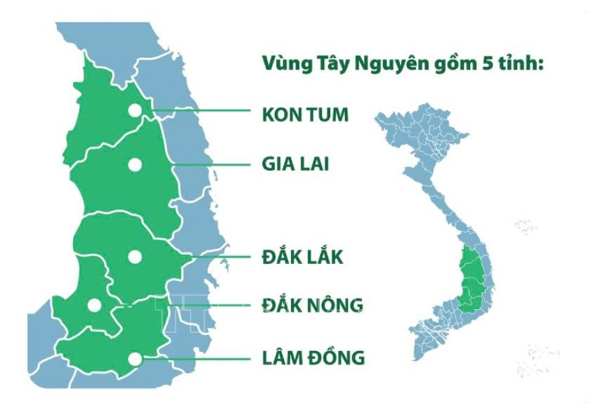 vi tri vung tay nguyen