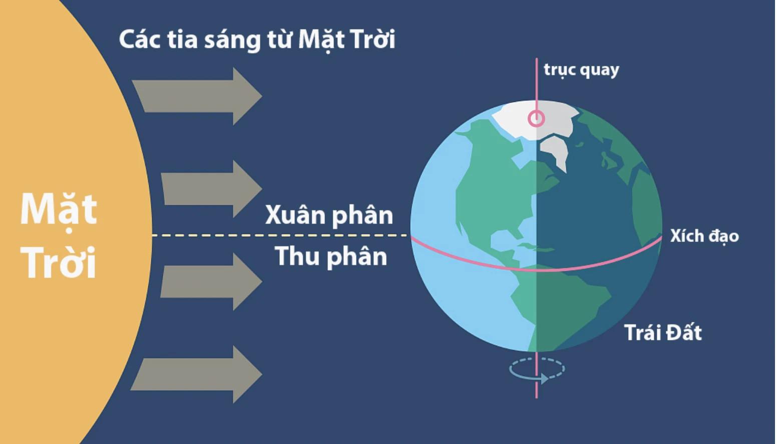 yeu to anh huong den su moc va lan mua mat troi